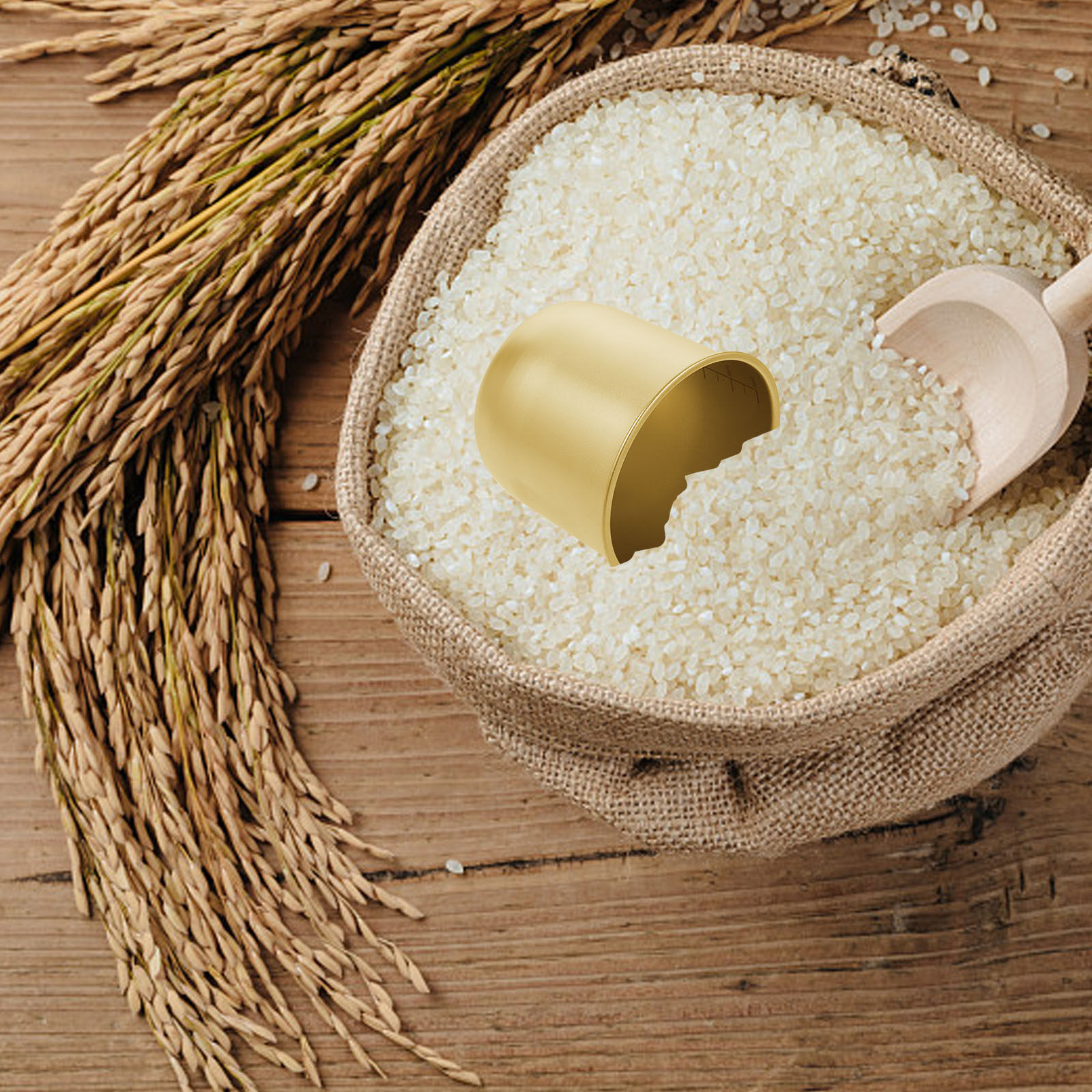 Taza Medidora de Arroz de Acer - Kitchen Baking Containers reseña y precio