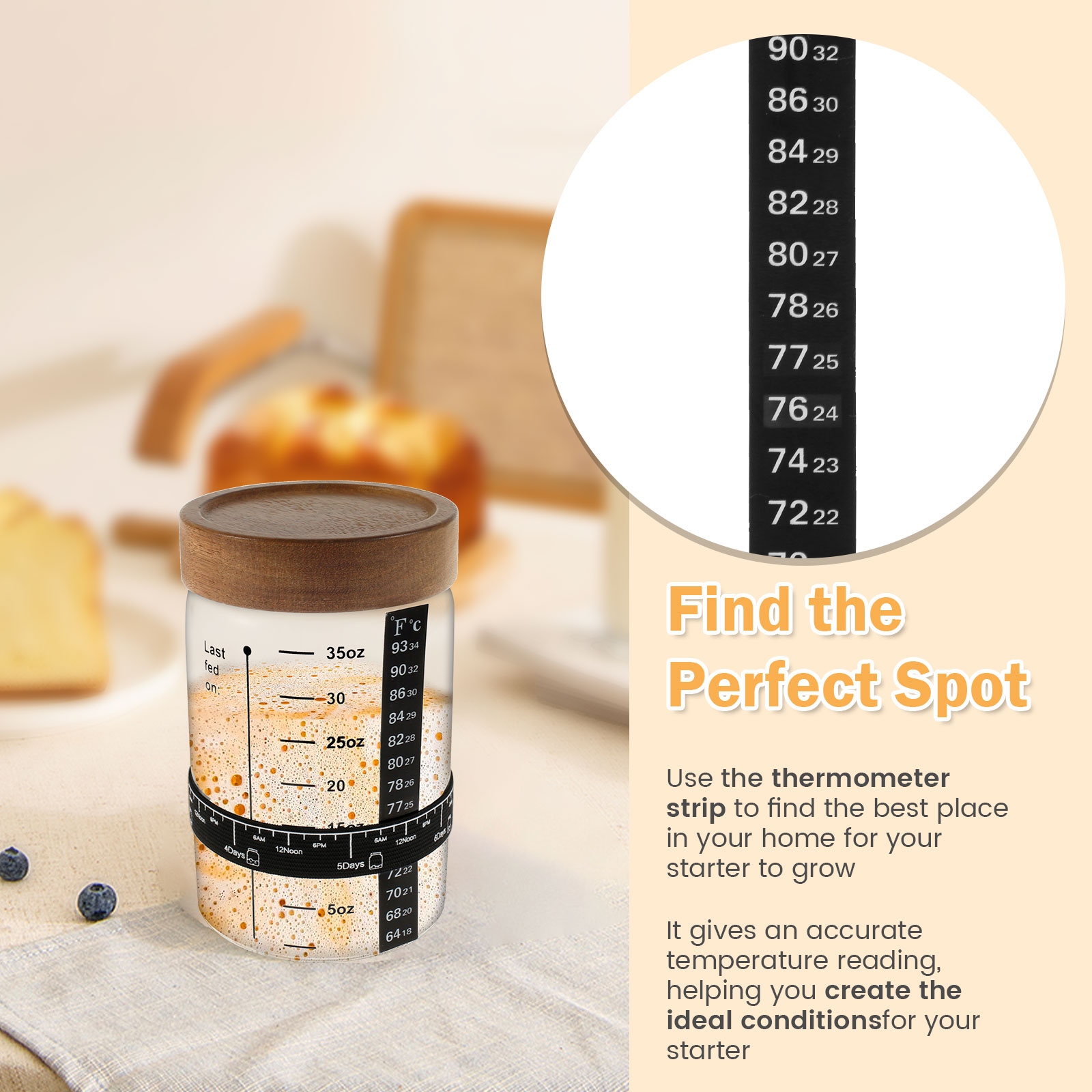 Kit de tarro de inicio de masa - Kitchen Baking Storage Containers reseña y precio